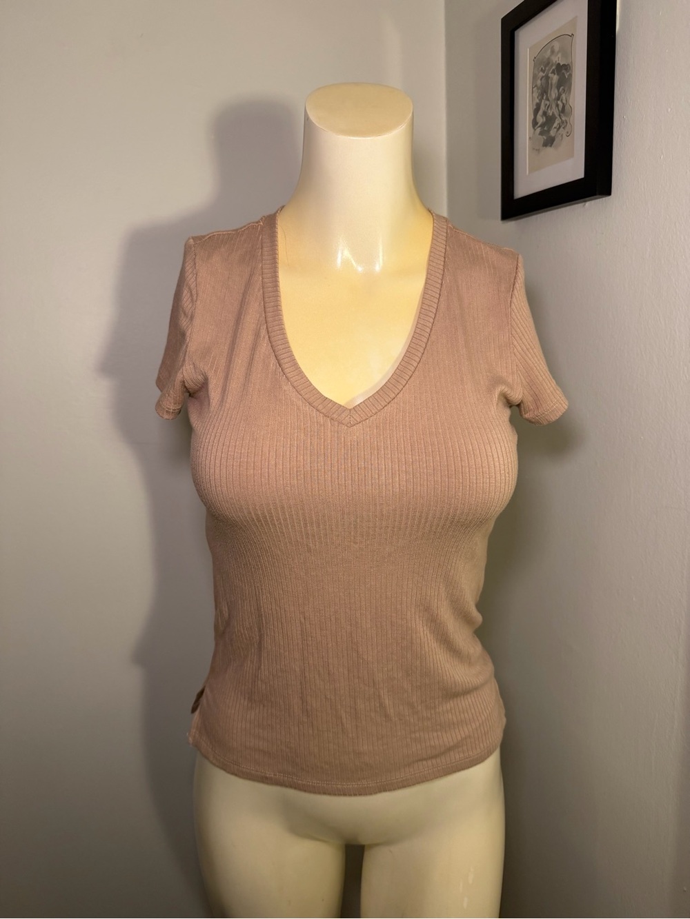 Cyrus Size small Essentials Womenโs Small Ribbed V-Neck Short Sleeve Shirt Top